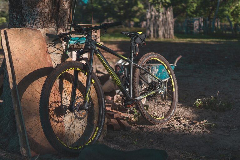 Promoting Intergenerational Programming in Long-Term Care: Crickbet99, Sky 99 exch id, Reddy anna casino