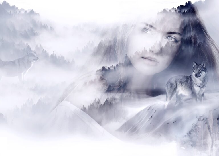 Investigating the Efficacy of Educational TV in Teacher Training: World777 login, 11xplay online, Betbook247