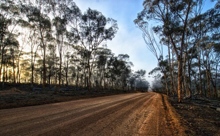 Implementing Blockchain for Secure and Transparent Automotive Transactions: 11xplay reddy login, Laser247, Skyinplay exchange