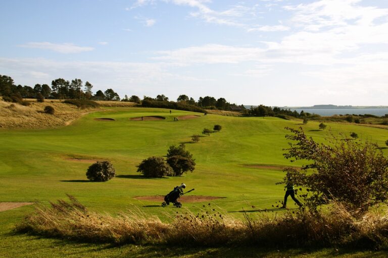 The Role of IPL in India’s Sporting Culture: Impact and Legacy