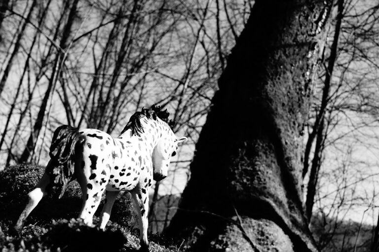 Promoting Cultural Competence in Long-Term Care Training Programs: Diamond exchange 9, Sky99exch, Reddybook