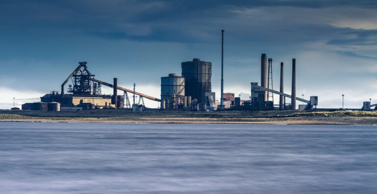 How Biotechnology is Revolutionizing the Yogurt Market: 11xplay online, Gold365 com, Skyfyer