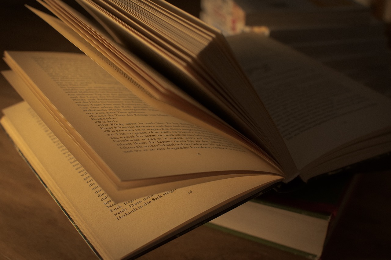 Exploring Entrepreneurship Education through Radio Shows: Goldenexch99, Cricbet99 club.com, King567 login