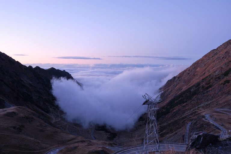 Sustainable Transportation Solutions for Automotive Finished Goods Distribution: 11xplay reddy login password, 24 betting login india sign up, Skyinplay.com login