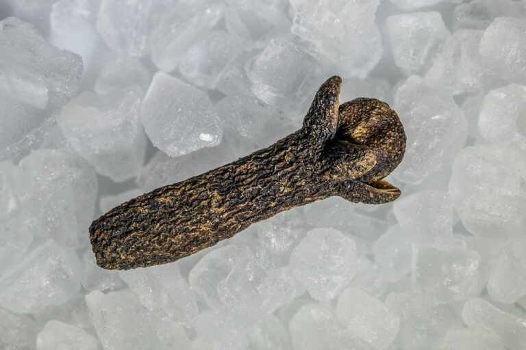 Innovations in Poultry Antibiotic Alternatives: Skyexch, World777, Goldsbet login