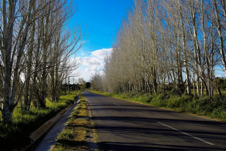 Exploring Collaborative Robots in Automotive Warehousing and Distribution: 11xplay reddy login id and password, Laser247. Com cricket, Sky live casino