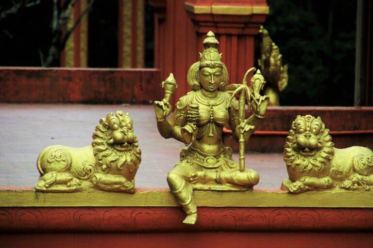 Election Fraud Detection in Developing Countries: Cricket bet99 login, Sky11 login, Reddy anna online book