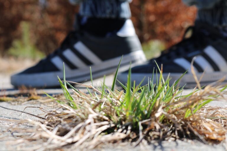 Fashion Forecasting: Predicting Trends for Department Store Shoppers: Goldbet6, Tigerexch, Betbook247 app