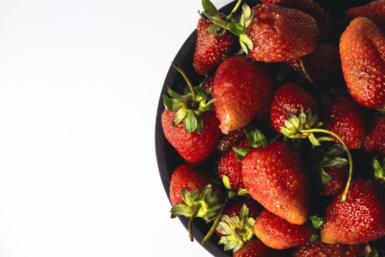 Poultry Farming and Regenerative Agriculture: 11xplaypro, The tiger 247 login, Betbook login