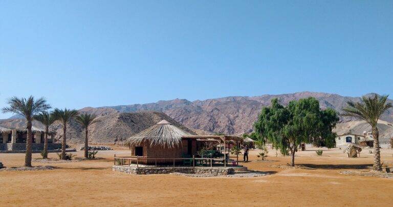 Fireplace Safety for Wilderness Retreats: 11xplay reddy login registration, Reddy anna whatsapp number, Golden7777